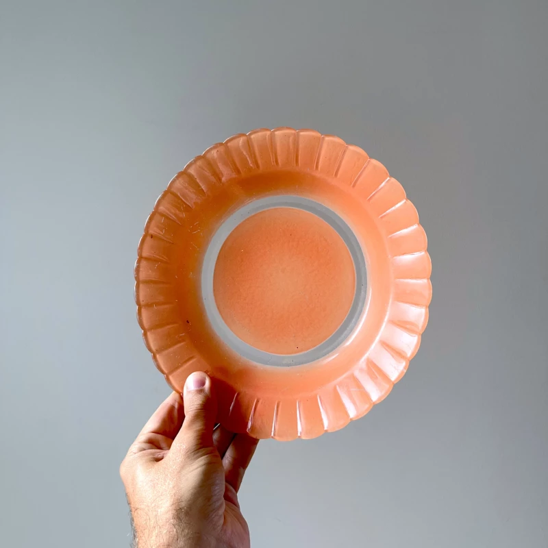 120 Assiettes En Papier Colorées Pour Fête - 6 Couleurs, Réutilisables - Pour Anniversaire, Mariage, événement