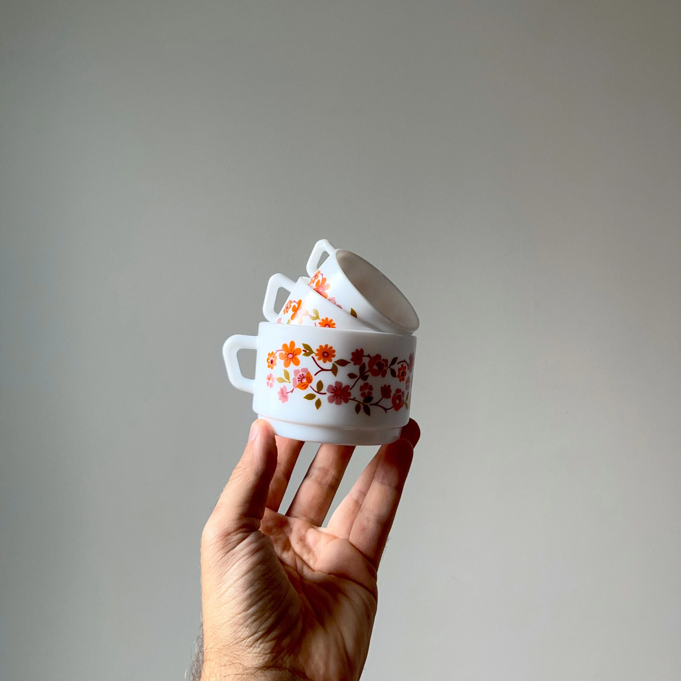 Tasses Arcopal Scania