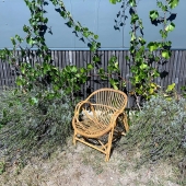 Beau fauteuil corbeille en rotin des années 70 dans un parfait état !

• Largeur : 63 cm
• Hauteur : 67 cm
• Profondeur : 68 cm

#rotin #vintage #fauteuil #fauteuilcorbeille #fauteuilcorbeillerotin #fauteuilrotin #brocante #brocanteenligne #mobiliervintage #mobilierboheme #boheme #styleboheme #stylevintage #deco #decointerieur #fauteuilvintage